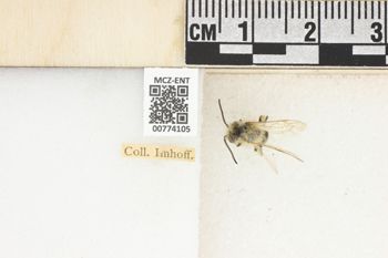 Media type: image;   Entomology 774105 Aspect: Labels